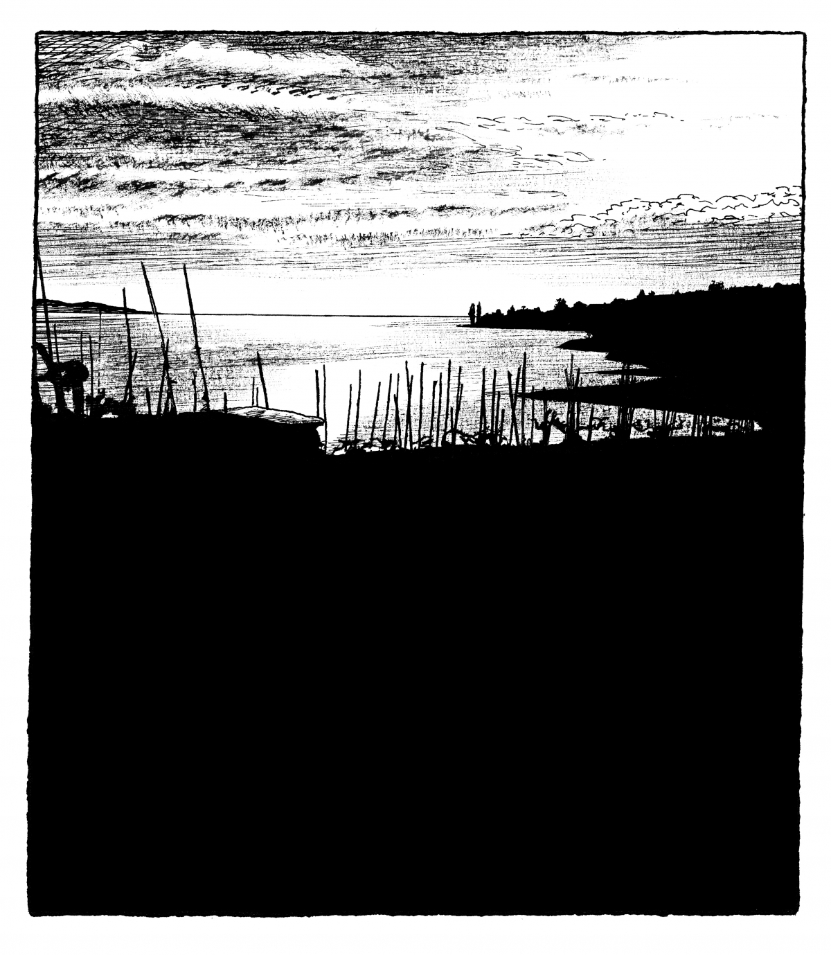 Thomas Sandoz par Pablo Fernandez (2016)